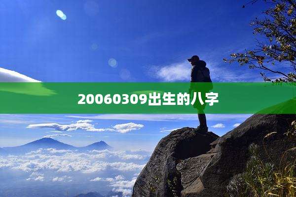 20060309出生的八字