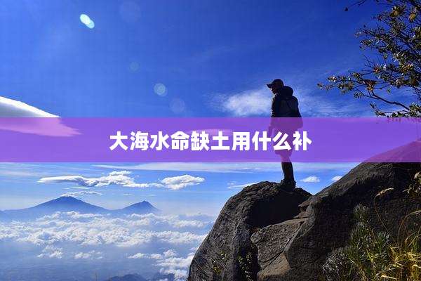 大海水命缺土用什么补