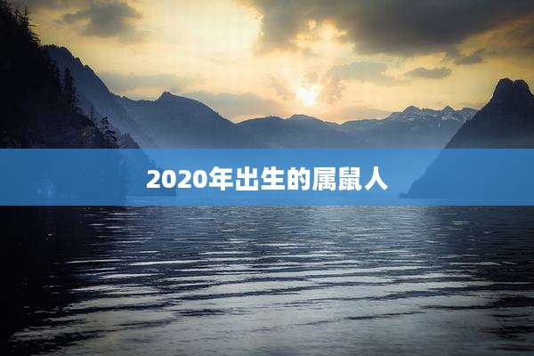 2020年出生的属鼠人