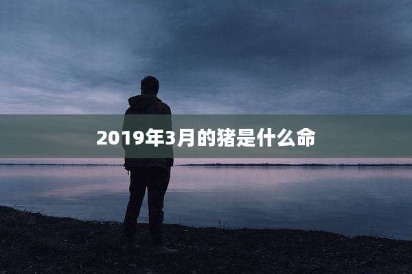 2019年3月的猪是什么命