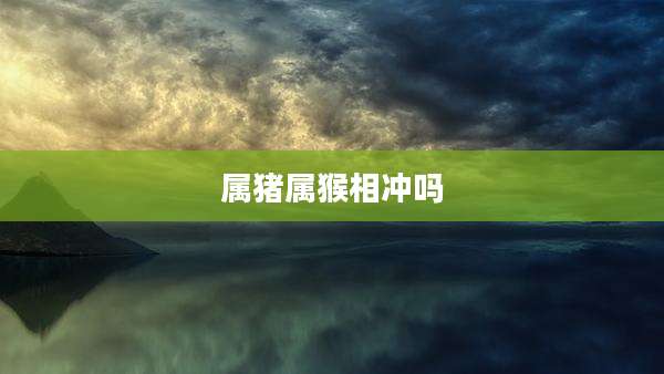 属猪属猴相冲吗