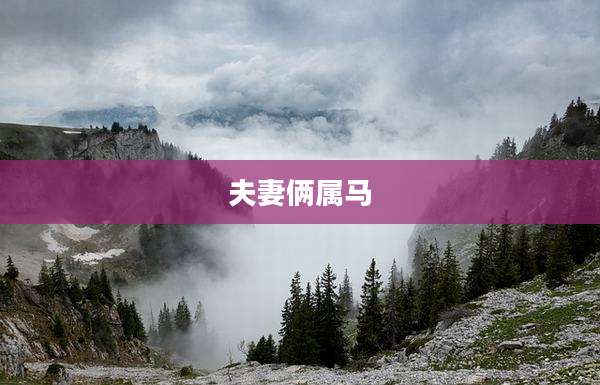 夫妻俩属马