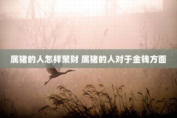 属猪的人怎样聚财 属猪的人对于金钱方面