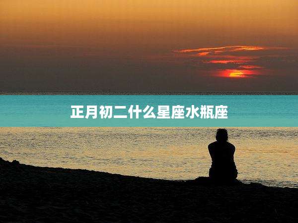 正月初二什么星座水瓶座