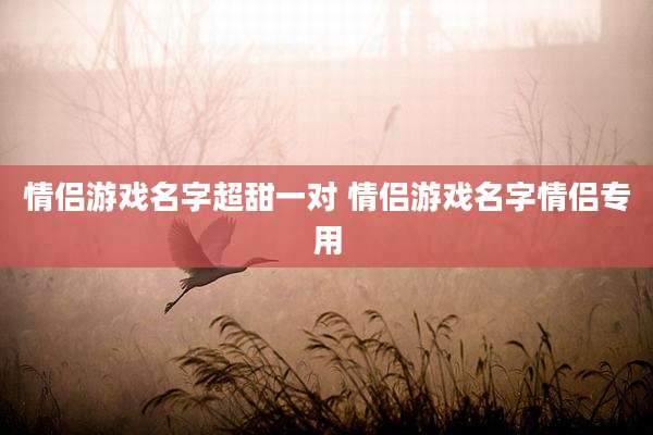 情侣游戏名字超甜一对 情侣游戏名字情侣专用