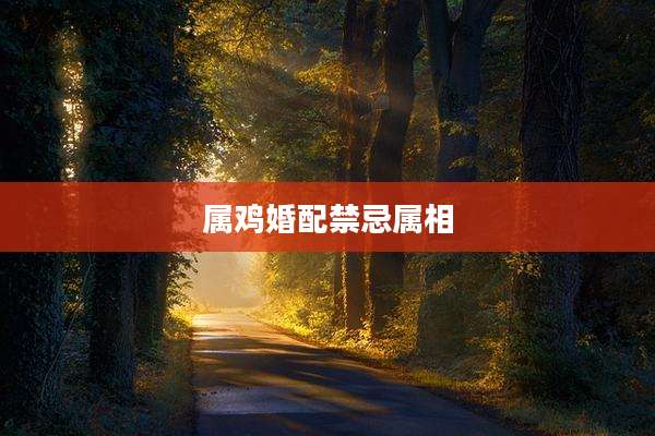 属鸡婚配禁忌属相