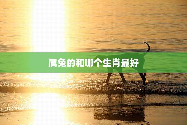 属兔的和哪个生肖最好