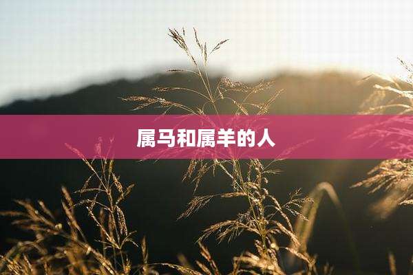 属马和属羊的人