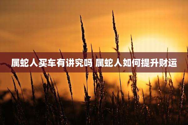 属蛇人买车有讲究吗 属蛇人如何提升财运