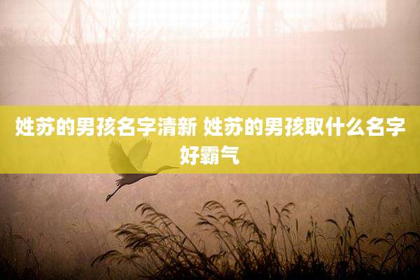 姓苏的男孩名字清新 姓苏的男孩取什么名字好霸气