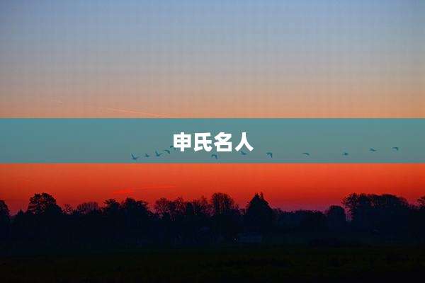 申氏名人