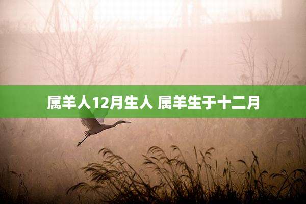 属羊人12月生人 属羊生于十二月