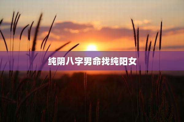 纯阴八字男命找纯阳女