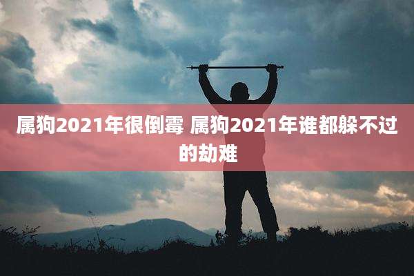属狗2021年很倒霉 属狗2021年谁都躲不过的劫难