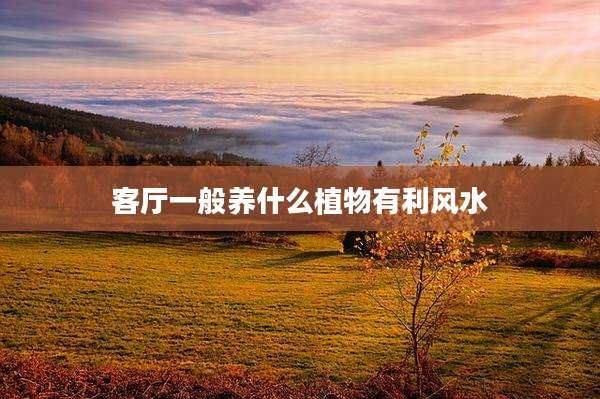 客厅一般养什么植物有利风水