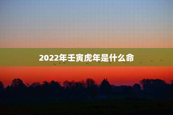 2022年壬寅虎年是什么命