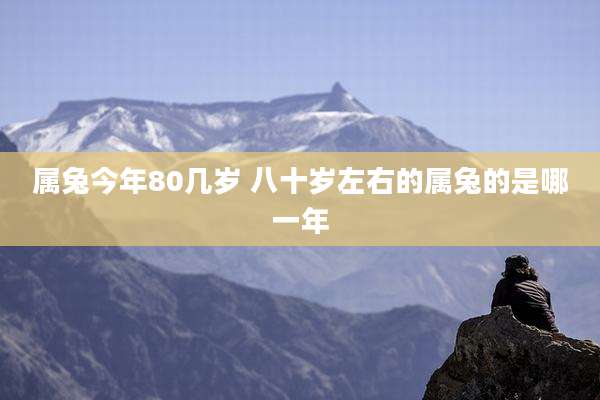 属兔今年80几岁 八十岁左右的属兔的是哪一年