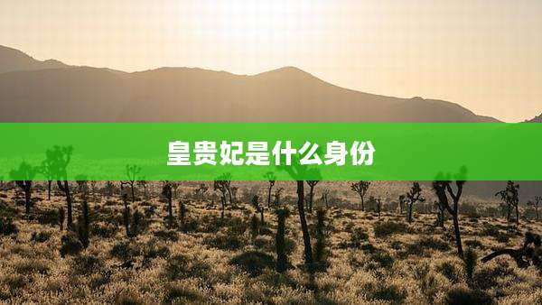 皇贵妃是什么身份