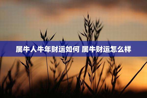 属牛人牛年财运如何 属牛财运怎么样