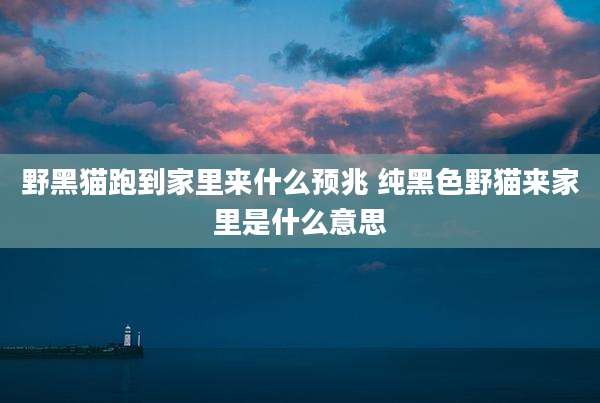 野黑猫跑到家里来什么预兆 纯黑色野猫来家里是什么意思