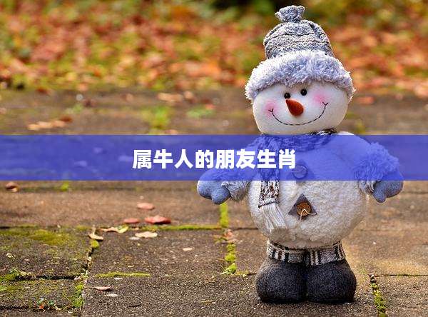 属牛人的朋友生肖