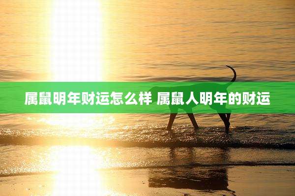 属鼠明年财运怎么样 属鼠人明年的财运