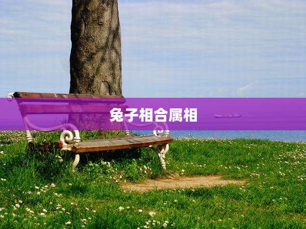 兔子相合属相