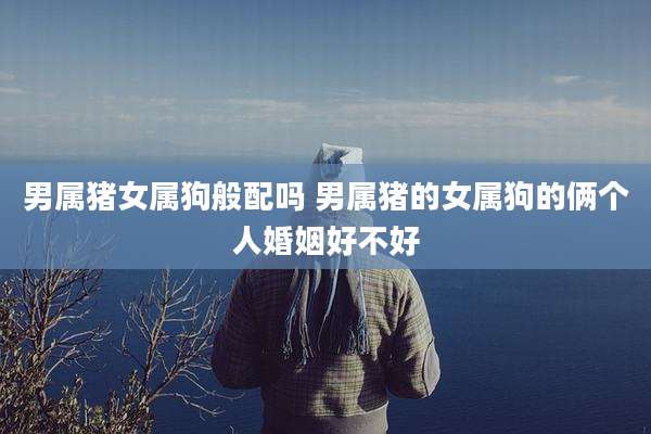 男属猪女属狗般配吗 男属猪的女属狗的俩个人婚姻好不好