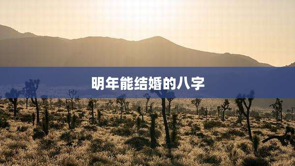 明年能结婚的八字