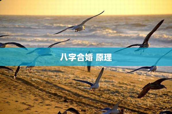 八字合婚 原理