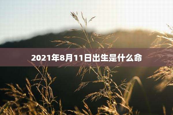 2021年8月11日出生是什么命