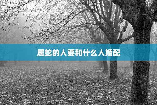 属蛇的人要和什么人婚配