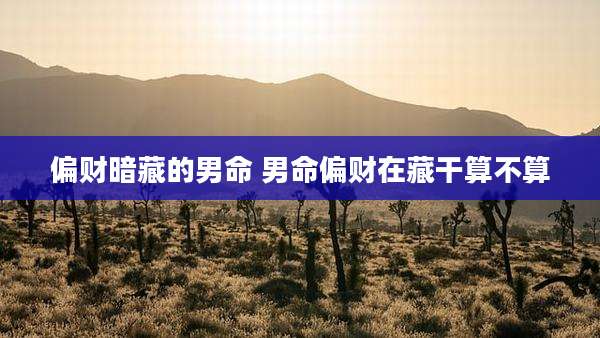 偏财暗藏的男命 男命偏财在藏干算不算