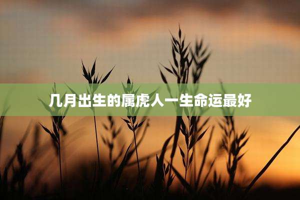 几月出生的属虎人一生命运最好