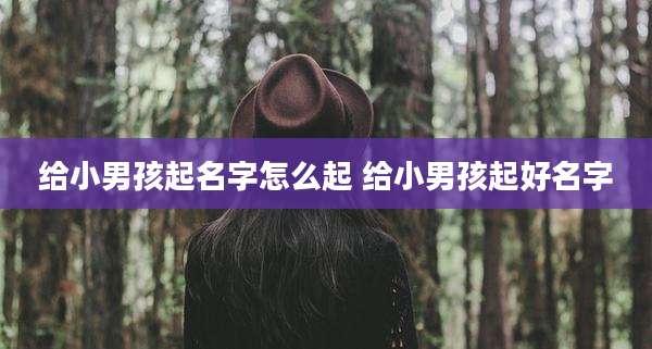 给小男孩起名字怎么起 给小男孩起好名字