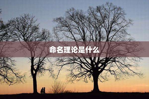 命名理论是什么