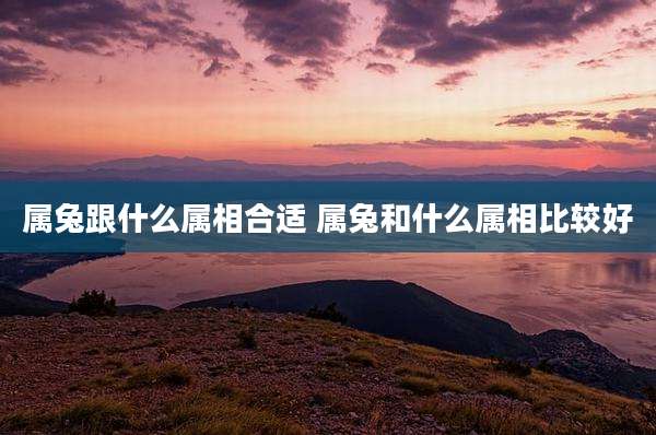 属兔跟什么属相合适 属兔和什么属相比较好