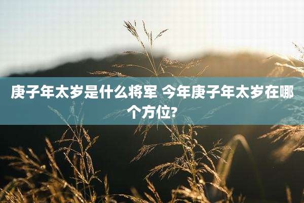 庚子年太岁是什么将军 今年庚子年太岁在哪个方位?