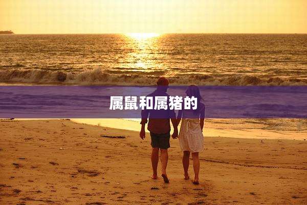 属鼠和属猪的