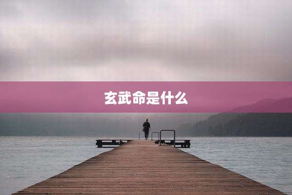 玄武命是什么