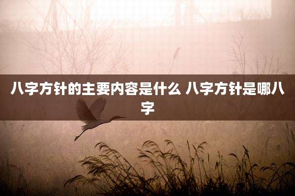 八字方针的主要内容是什么 八字方针是哪八字