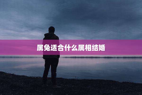 属兔适合什么属相结婚