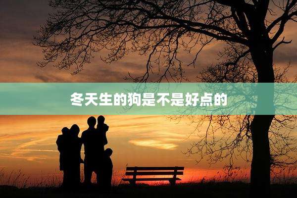 冬天生的狗是不是好点的