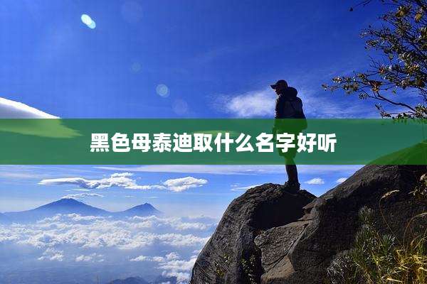 黑色母泰迪取什么名字好听