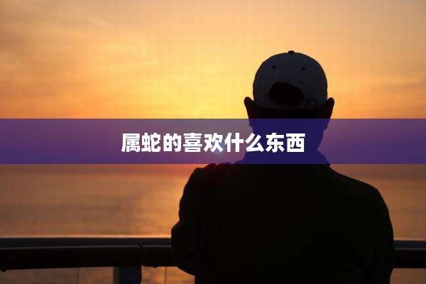 属蛇的喜欢什么东西