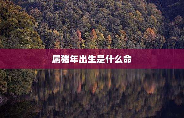 属猪年出生是什么命