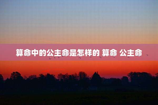 算命中的公主命是怎样的 算命 公主命