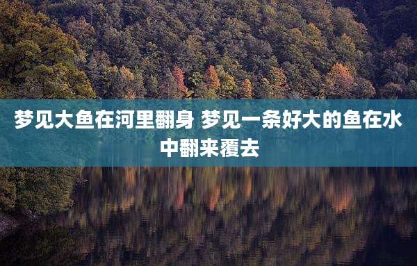 梦见大鱼在河里翻身 梦见一条好大的鱼在水中翻来覆去