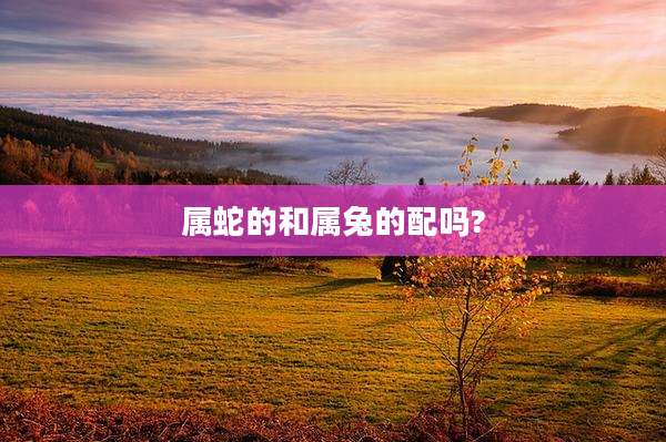 属蛇的和属兔的配吗?