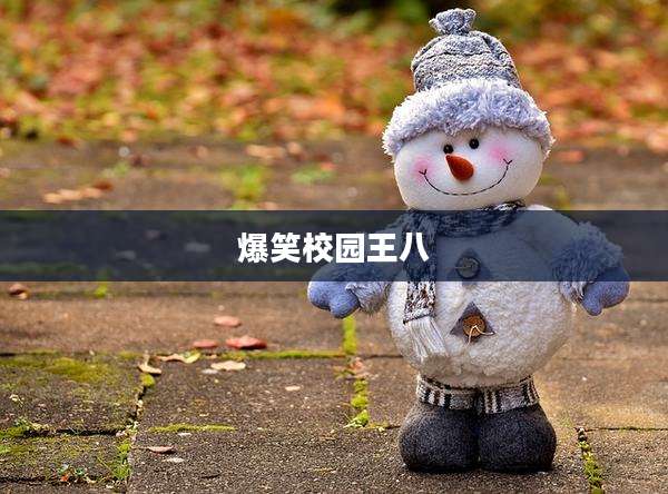 爆笑校园王八